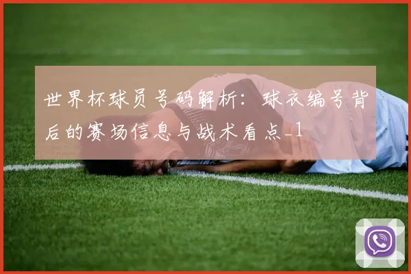 世界杯球员号码解析：球衣编号背后的赛场信息与战术看点_1