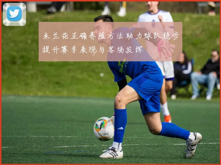 米兰花正确养殖方法助力球队稳步提升赛季表现与客场发挥