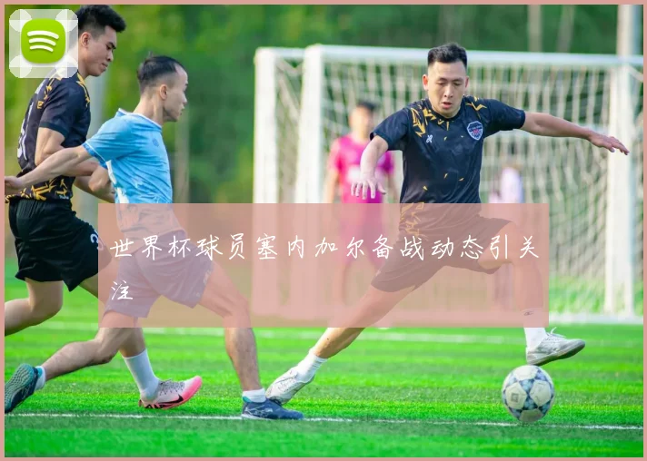 世界杯球员塞内加尔备战动态引关注