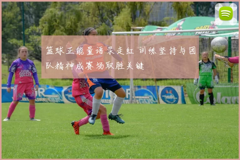 篮球正能量语录走红 训练坚持与团队精神成赛场取胜关键