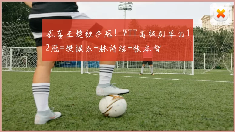 恭喜王楚钦夺冠！WTT高级别单打12冠=樊振东+林诗栋+张本智